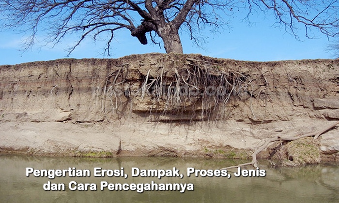 Pengertian Erosi, Dampak, Proses, Jenis dan Cara Pencegahannya