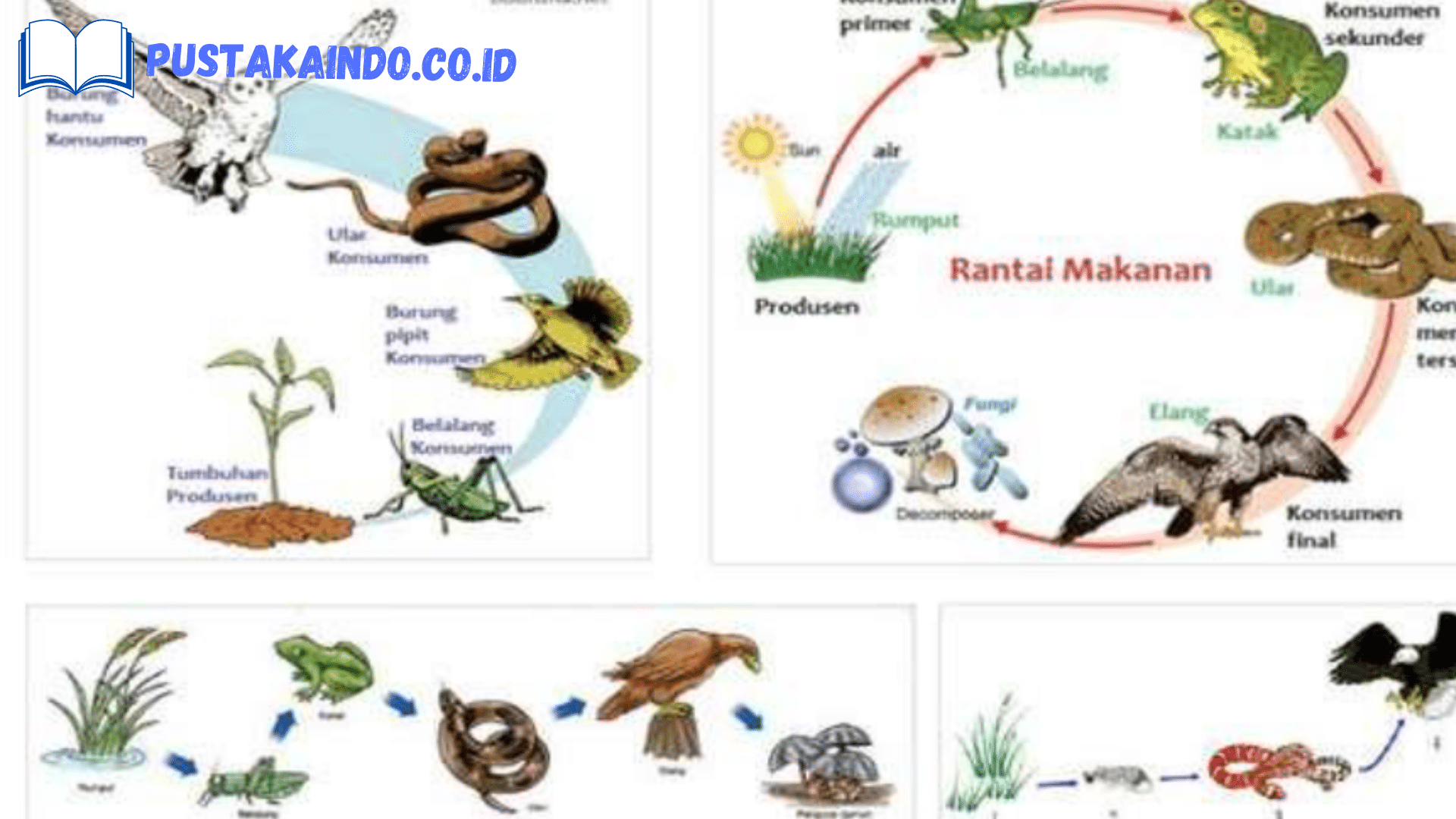 Pengertian Biotik